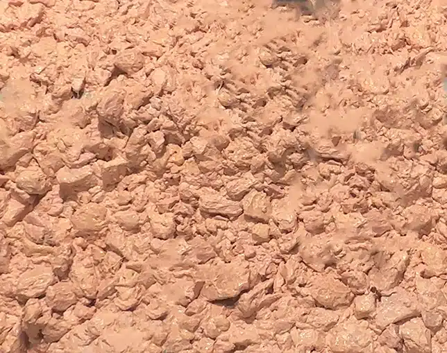 Продукт з коров'ячого вимені, показаний на скані. Розморожування після розморожування.